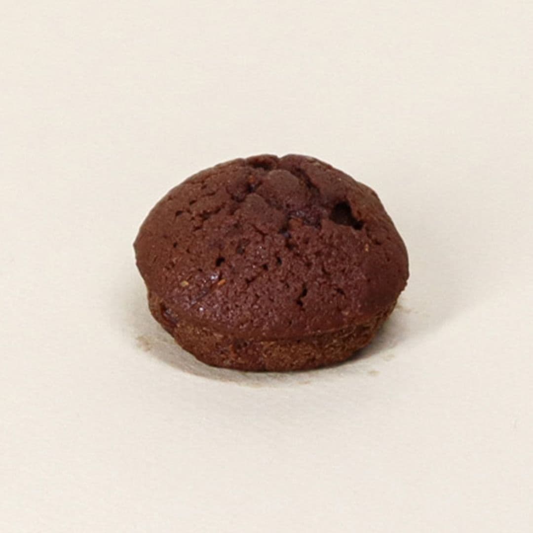 Mini moelleux au chocolat