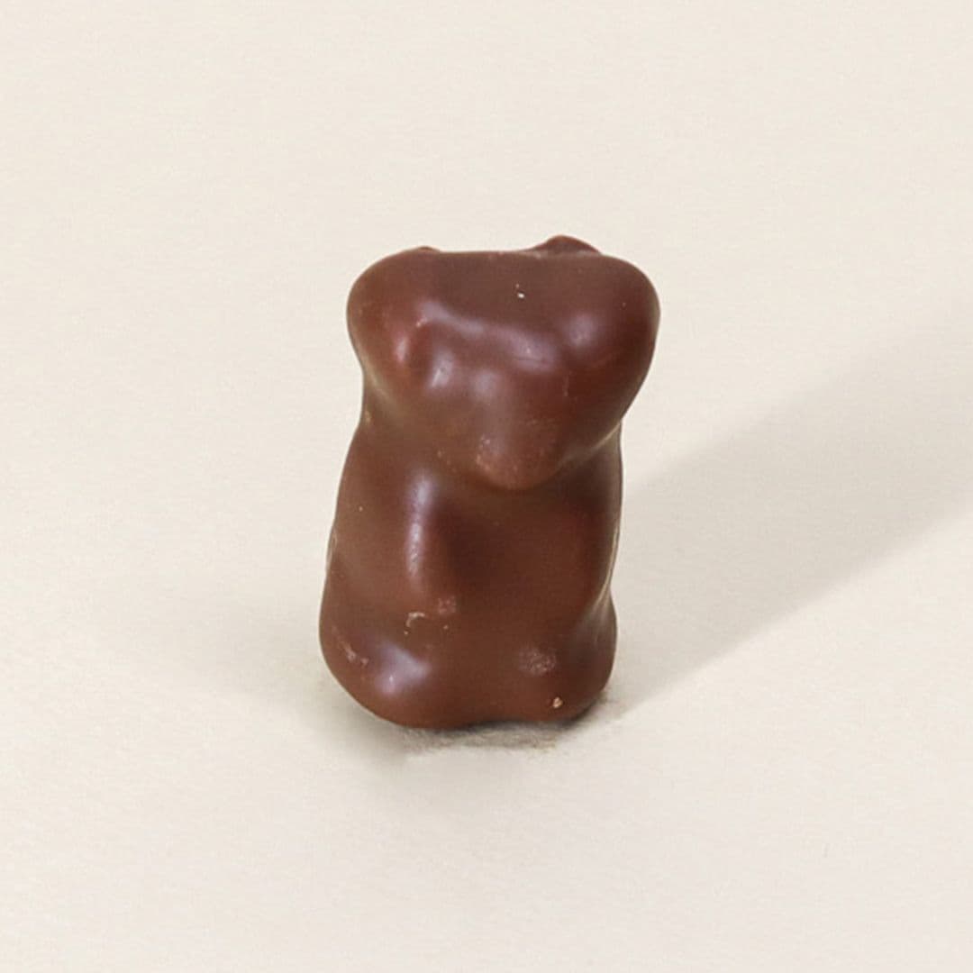 Oursons guimauve chocolat au lait
